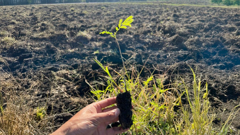 Primavera de comienzos en la Reserva El Potrero